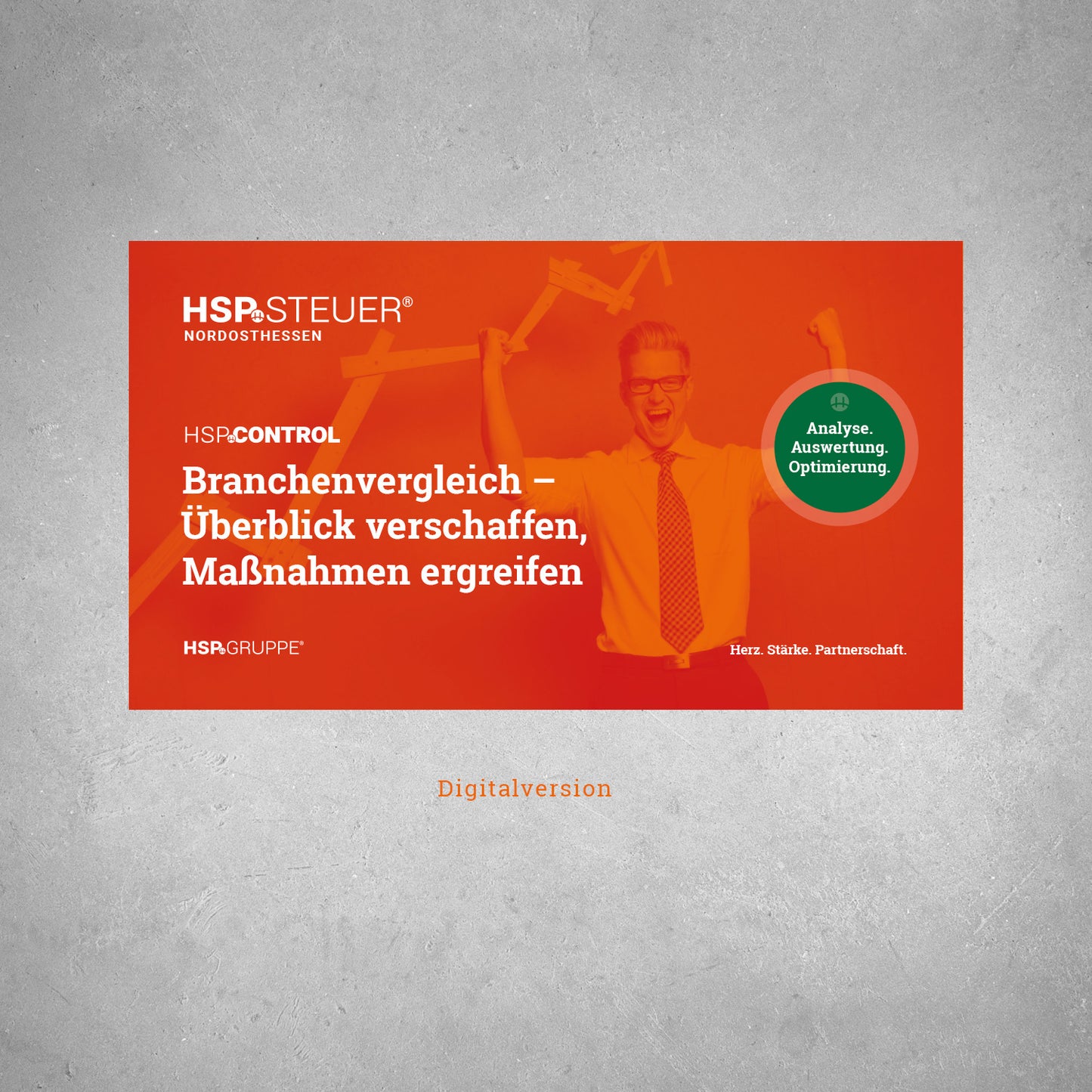 HSP.CONTROL Branchenauswertung Broschüre